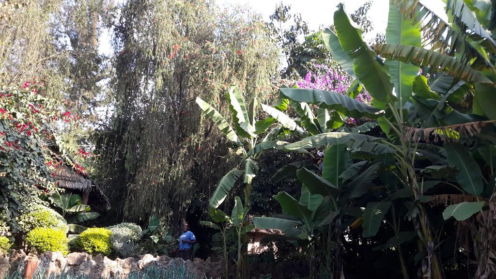 Karen Little Paradise Nairobi Kültér fotó