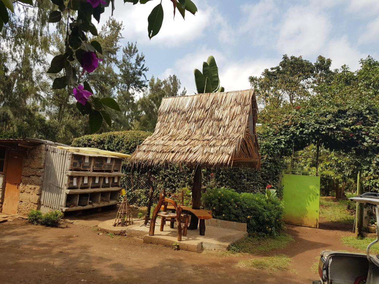 Karen Little Paradise Nairobi Kültér fotó